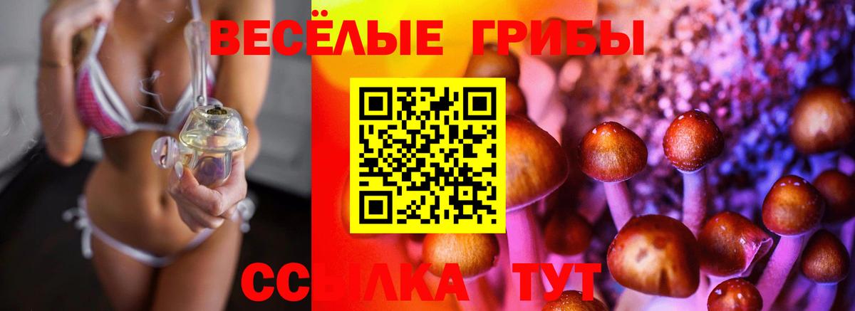 Псилоцибиновые грибы мицелий  Псилоцибиновые грибы мухоморы  Михайловка  Вход с VPN 