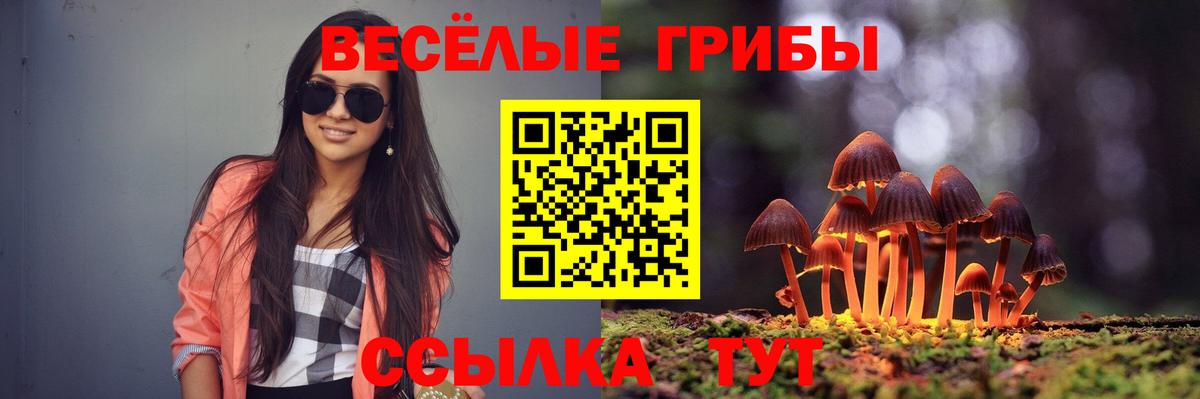 Псилоцибиновые грибы Cubensis Михайловка