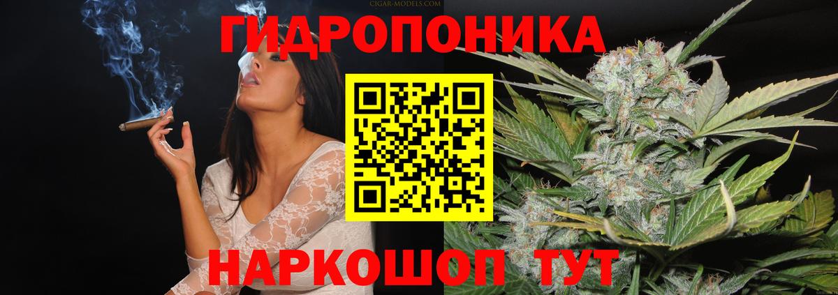 Бошки Шишки SATIVA & INDICA  Шишки марихуана сатива  Конопля Ganja  Вход с VPN  Михайловка 